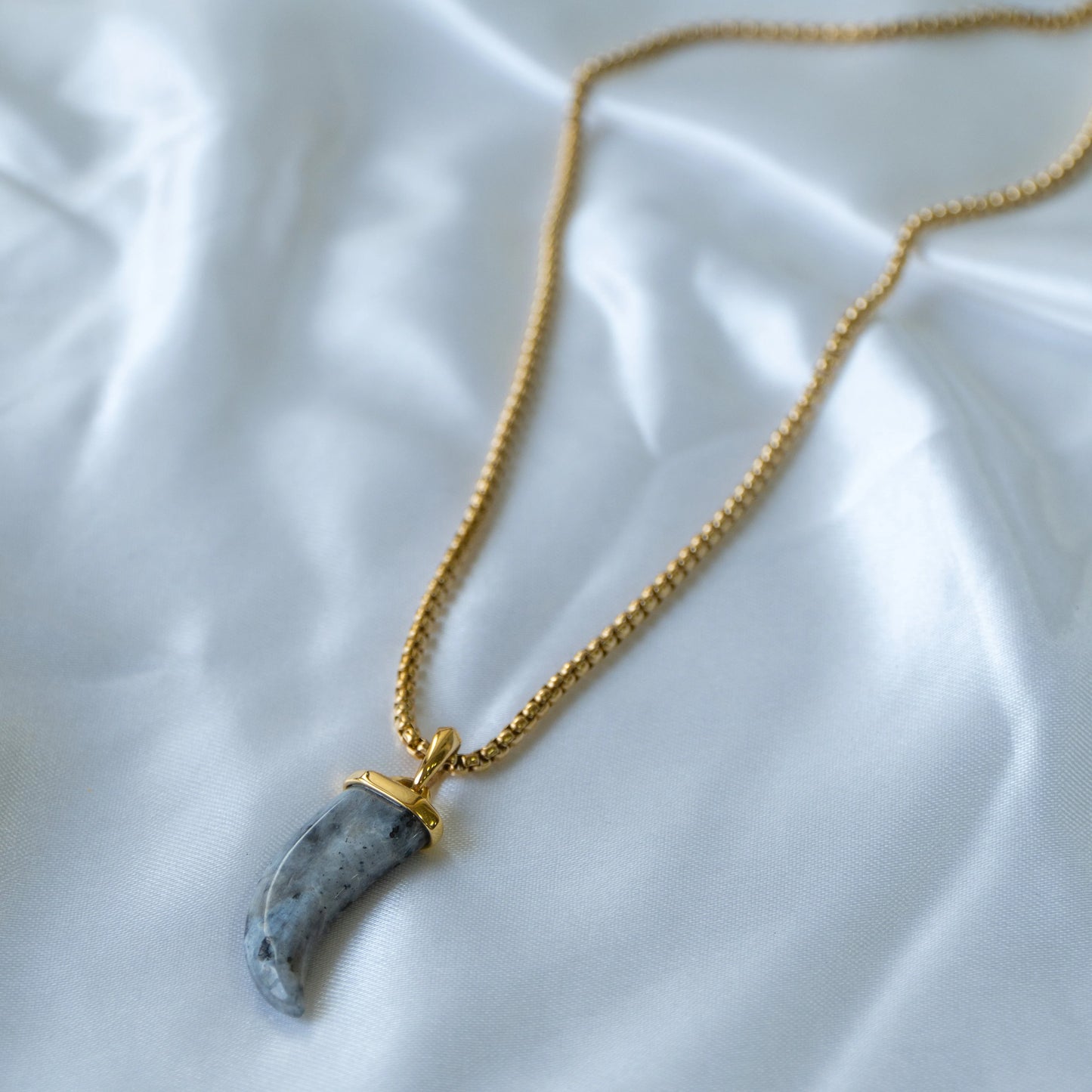 Wolf Fang Necklace